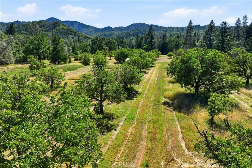 22550 Shady Grove Road Middletown, CA 95461 - Photo 56 of 68