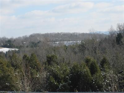 605 Log Lick Road Winchester, KY 40391 - Photo 6 of 47 Photo 6