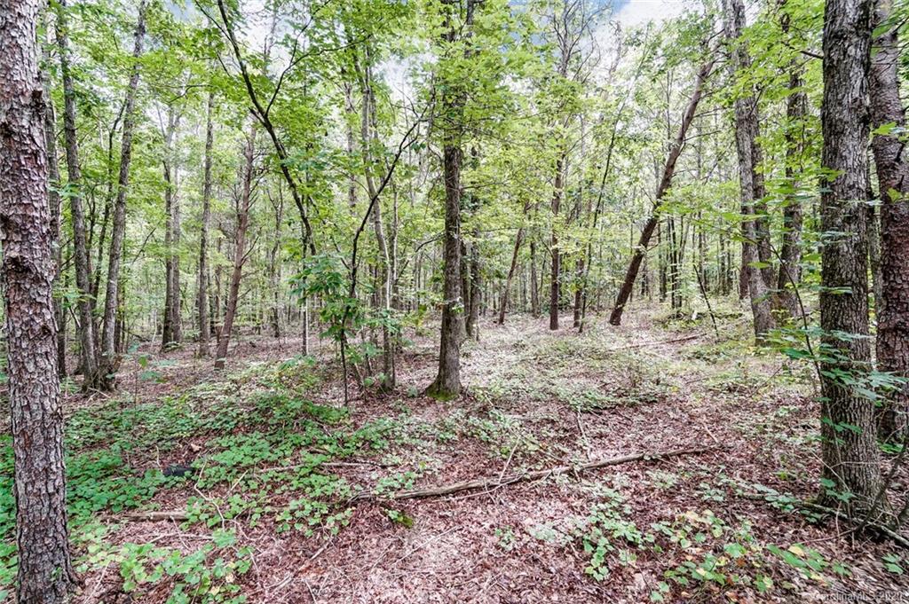 15810 Silver Road Oakboro, NC 28129 - Photo 45 of 45 Gallery Image 45