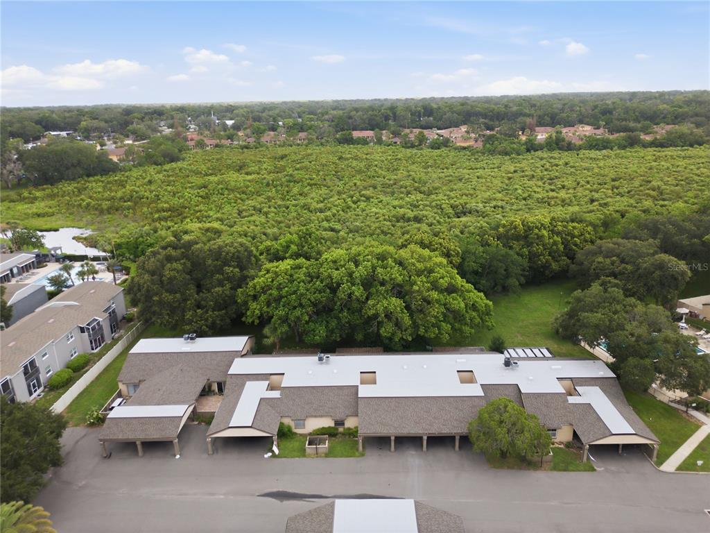 520 Windmeadows Street, Unit 520 Altamonte Springs, FL 32701 - Photo 39 of 46 Gallery Image 39