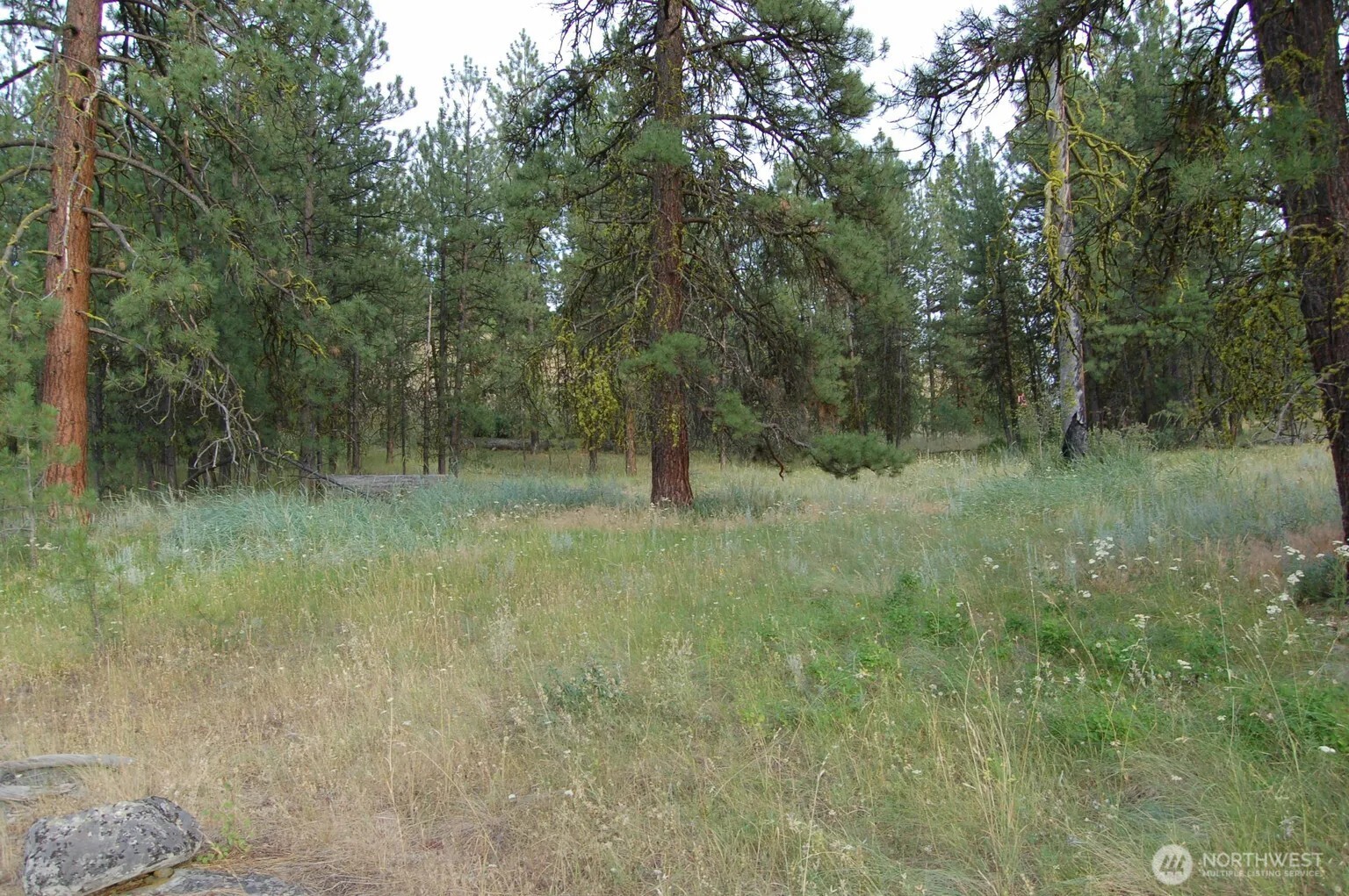 21 Deer Ridge Road Tonasket, WA 98855 - Photo 11 of 15