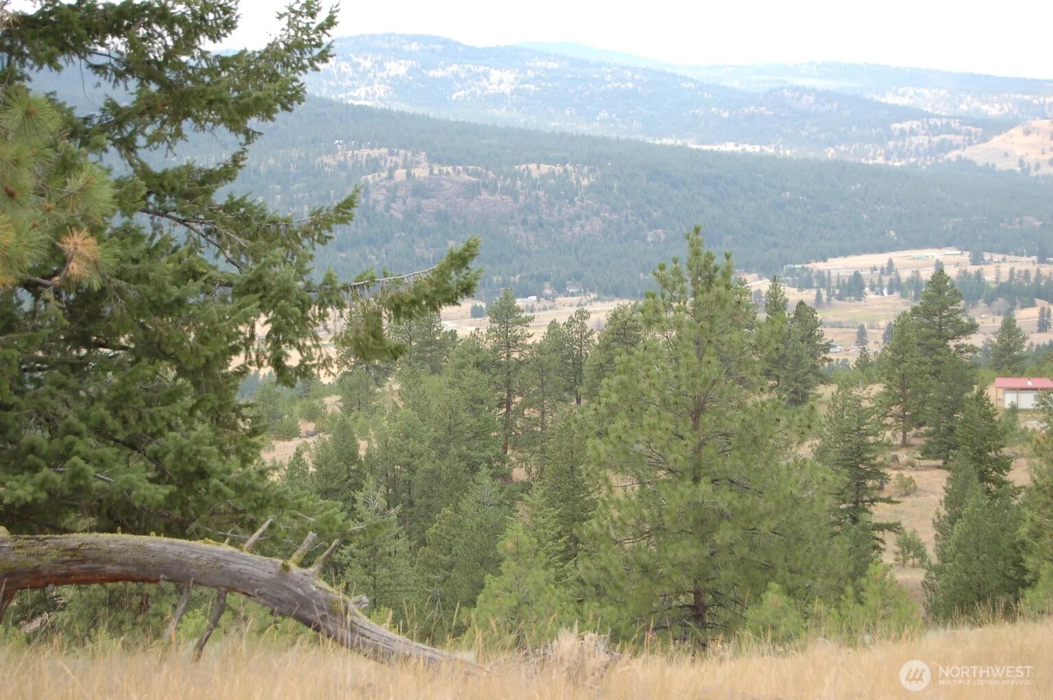 21 Deer Ridge Road Tonasket, WA 98855 - Photo 10 of 15