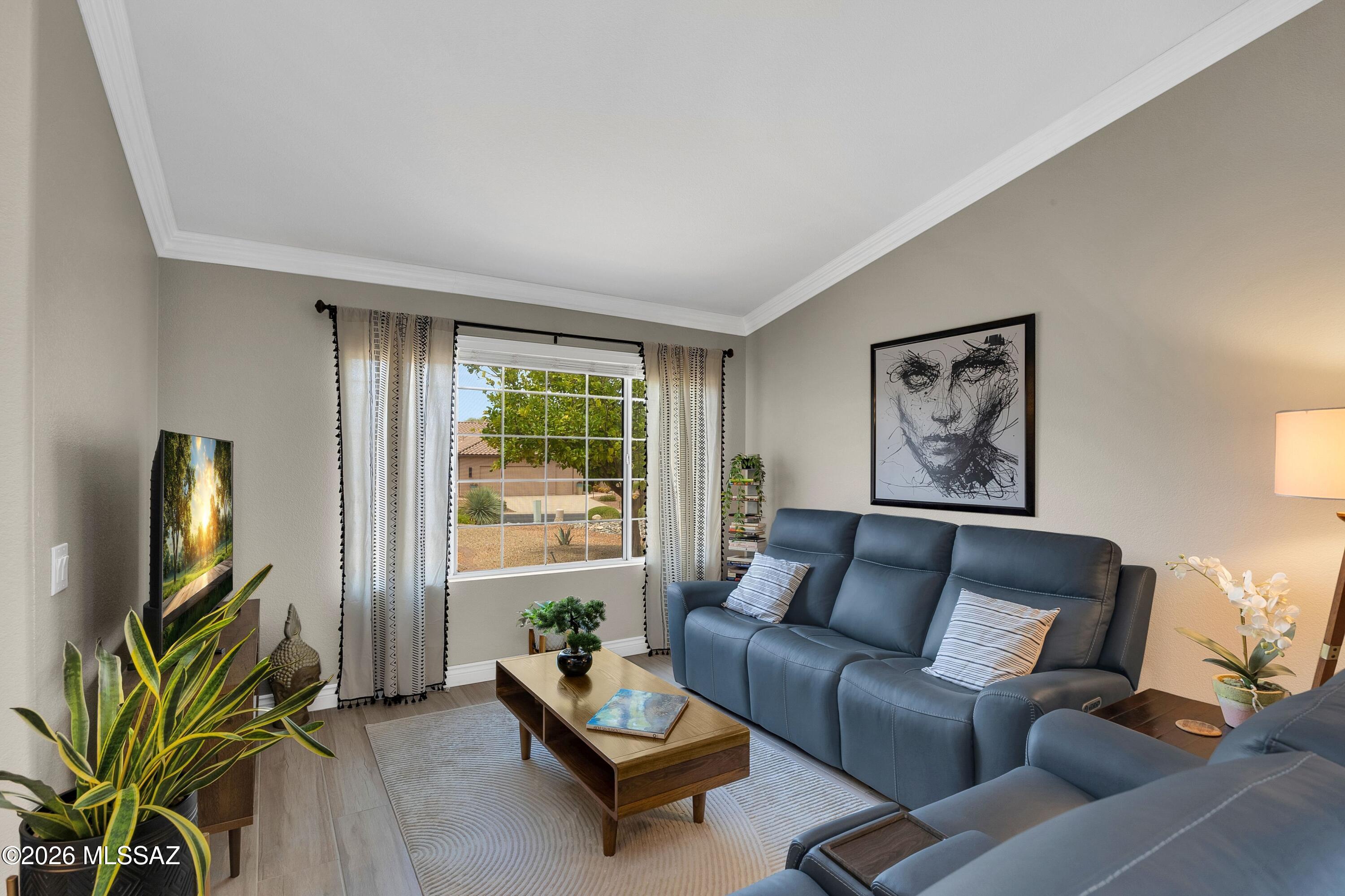 36925 South Ridgeview Boulevard Tucson, AZ 85739 - Photo 7 of 50 Spacious Living Room