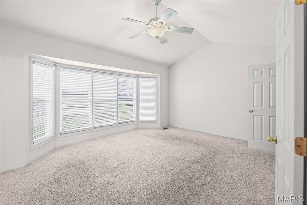 3543 Adler Court Shiloh, IL 62221 - Photo 19 of 47