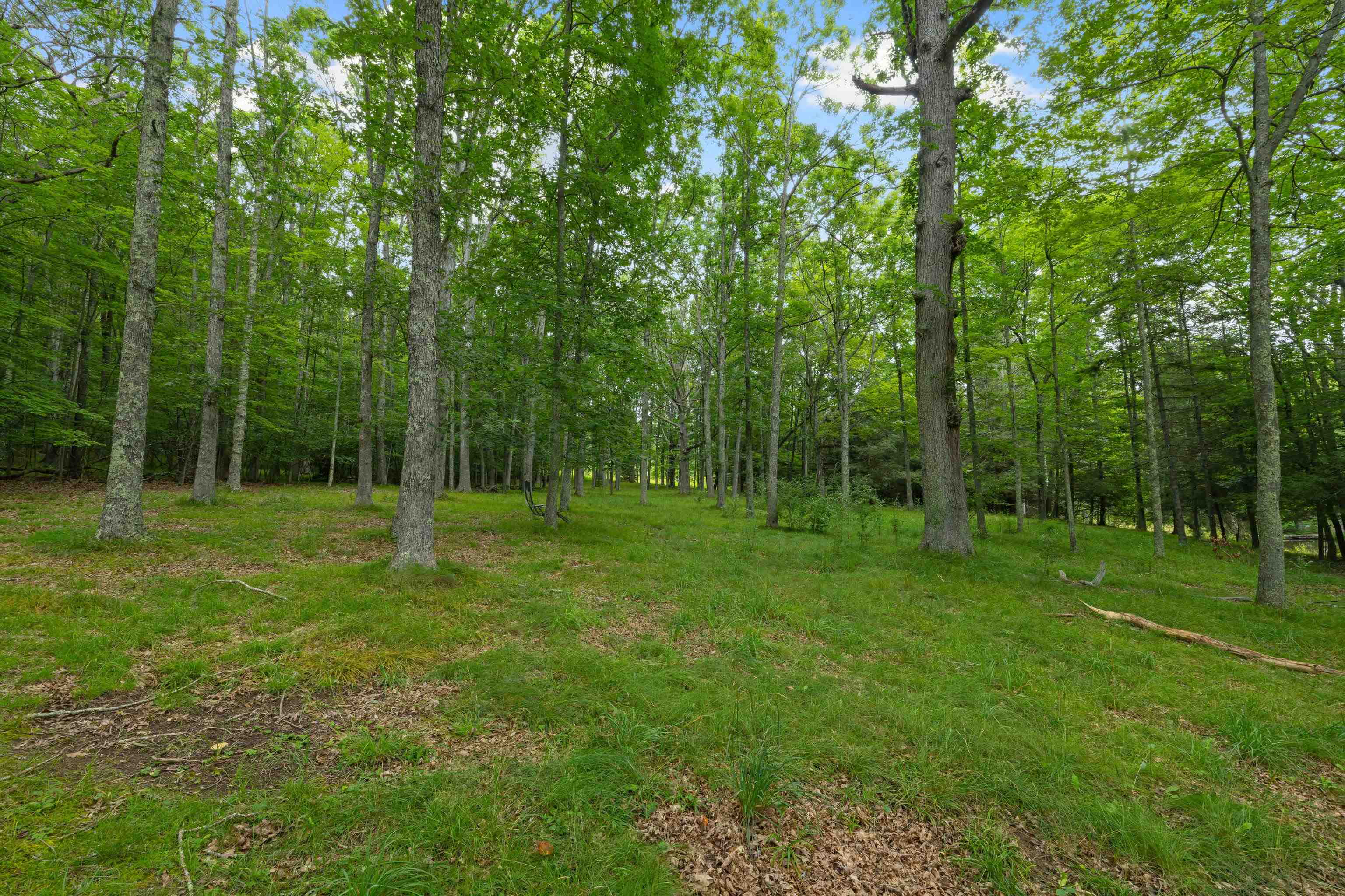 7382 Laurel Fork Road Blue Grass, VA 24413 - Photo 48 of 69 Gallery Image 48