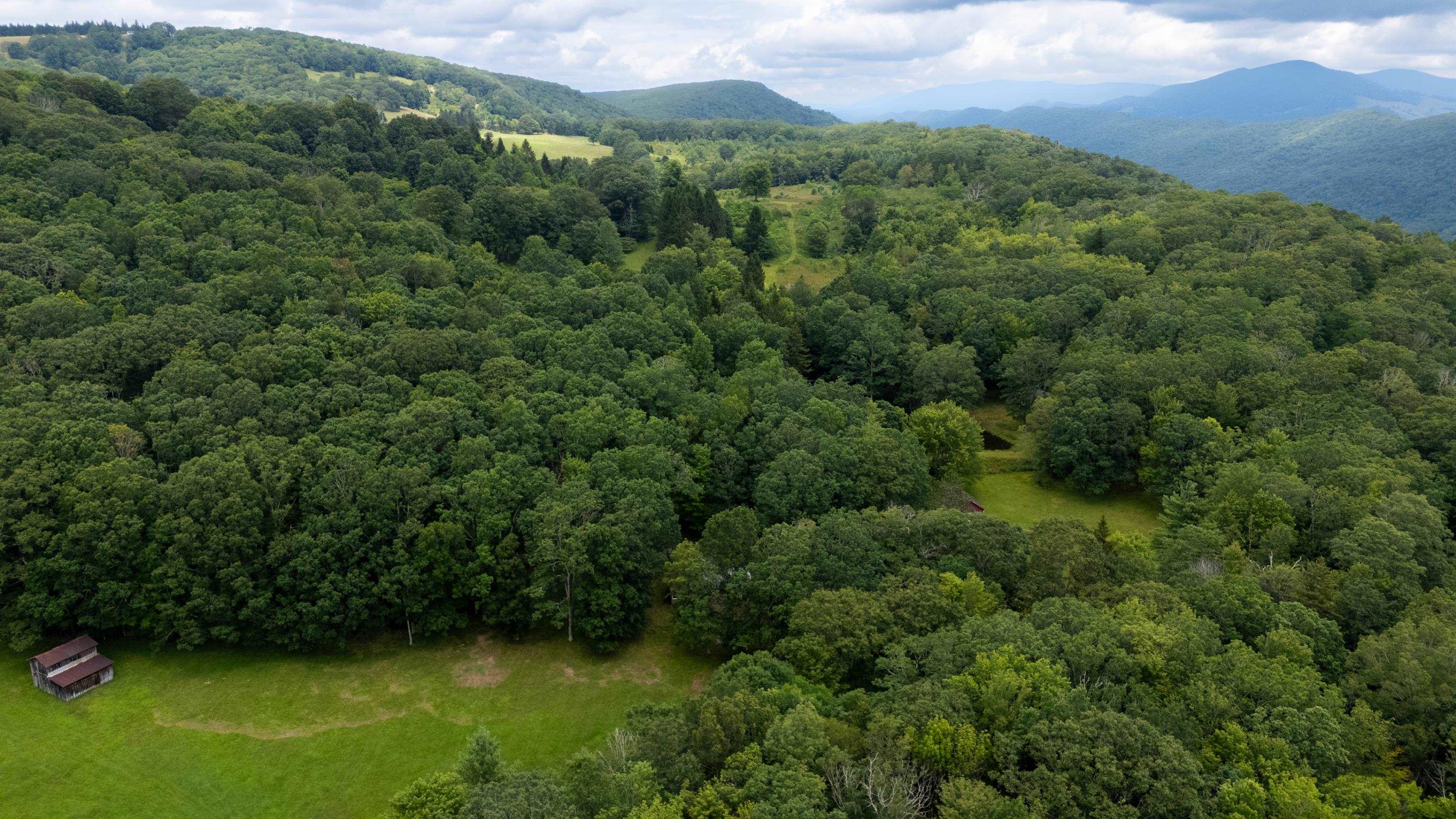 7382 Laurel Fork Road Blue Grass, VA 24413 - Photo 51 of 69 Gallery Image 51