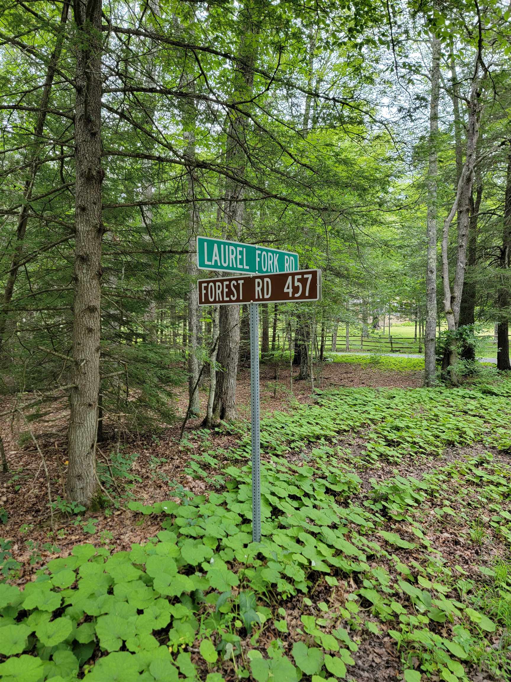 7382 Laurel Fork Road Blue Grass, VA 24413 - Photo 59 of 69 Gallery Image 59