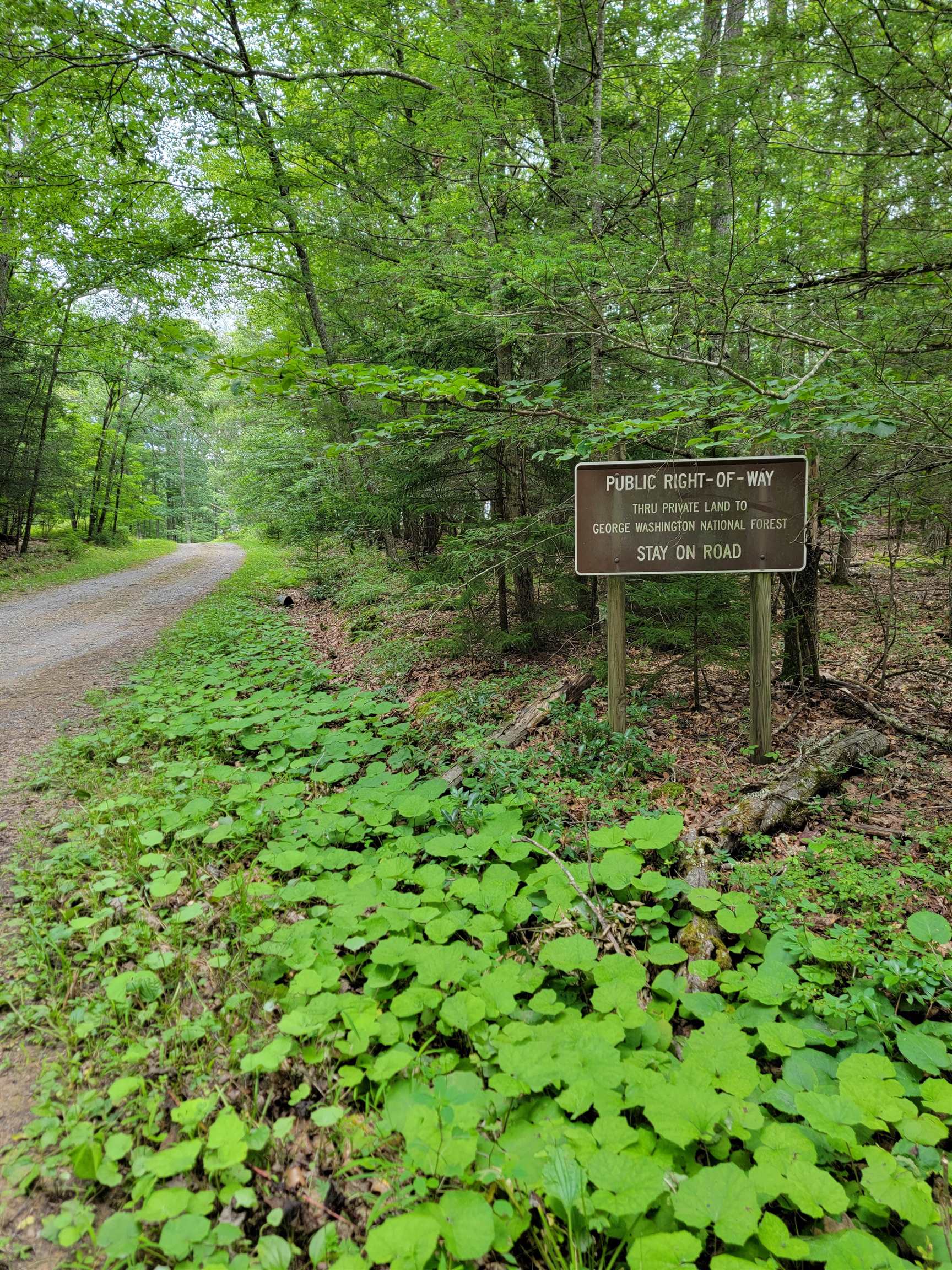 7382 Laurel Fork Road Blue Grass, VA 24413 - Photo 61 of 69 Gallery Image 61