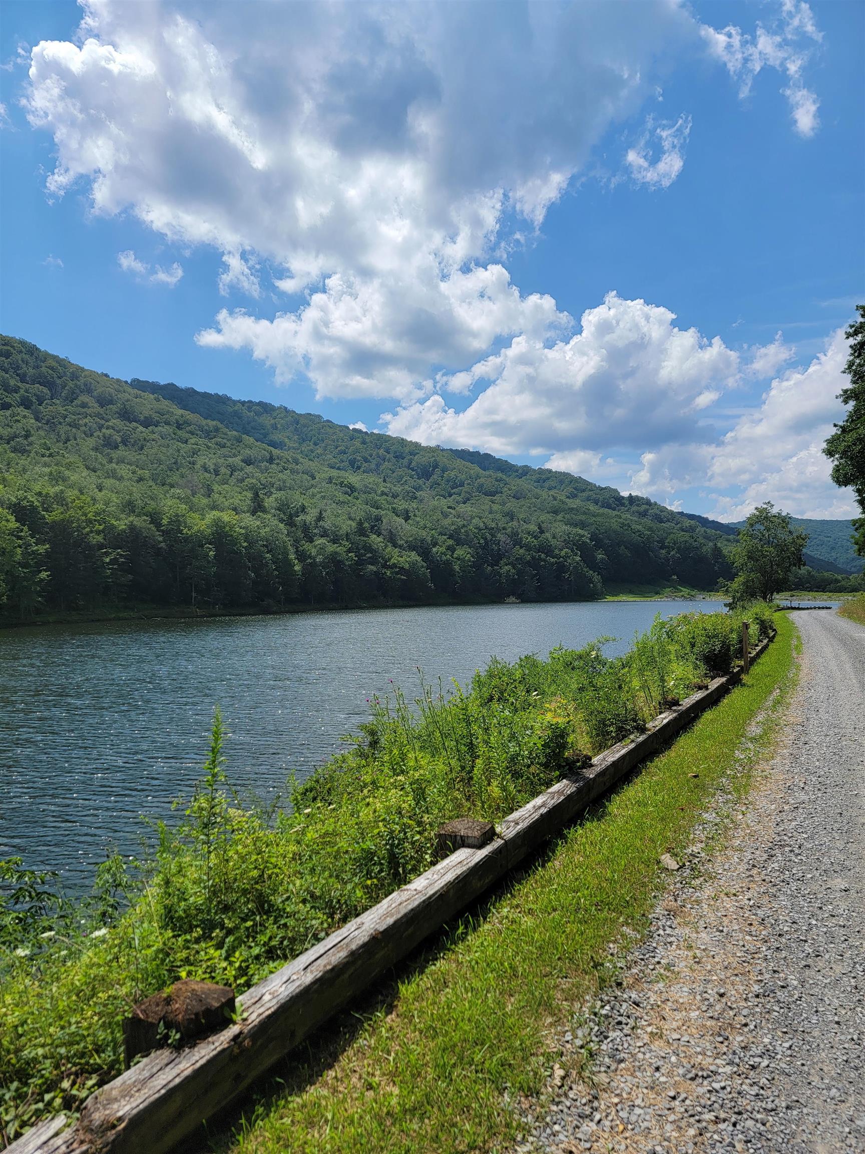 7382 Laurel Fork Road Blue Grass, VA 24413 - Photo 67 of 69 Buffalo Lake