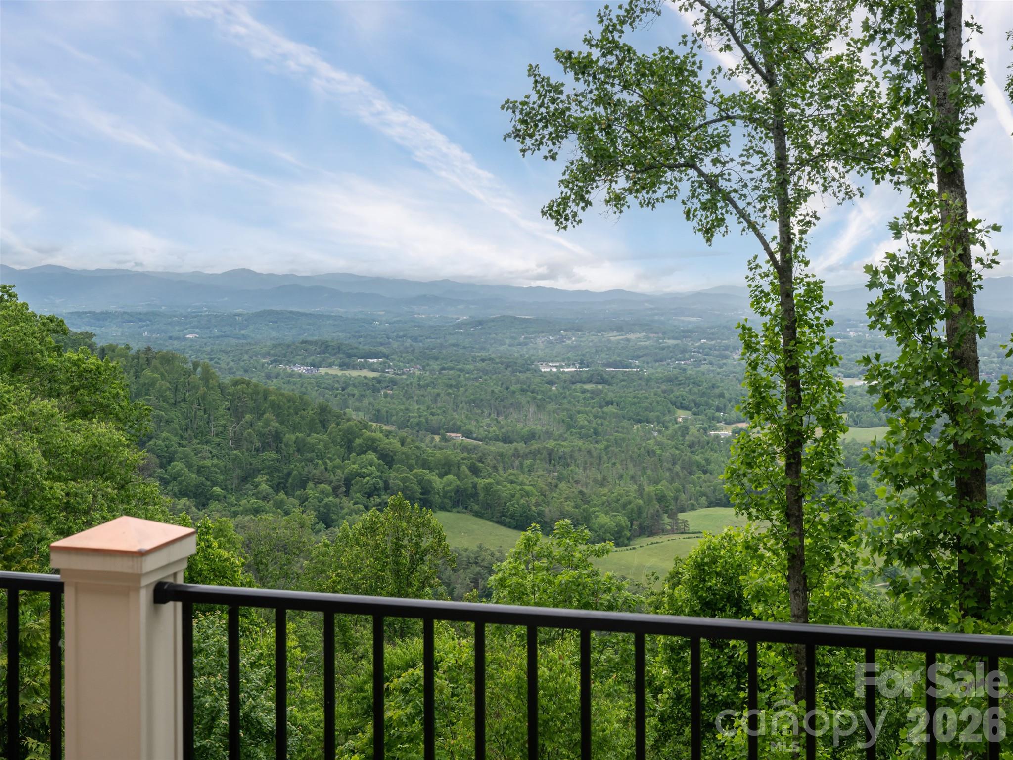 29 Elk Ridge Drive Weaverville, NC 28787 - Photo 32 of 48