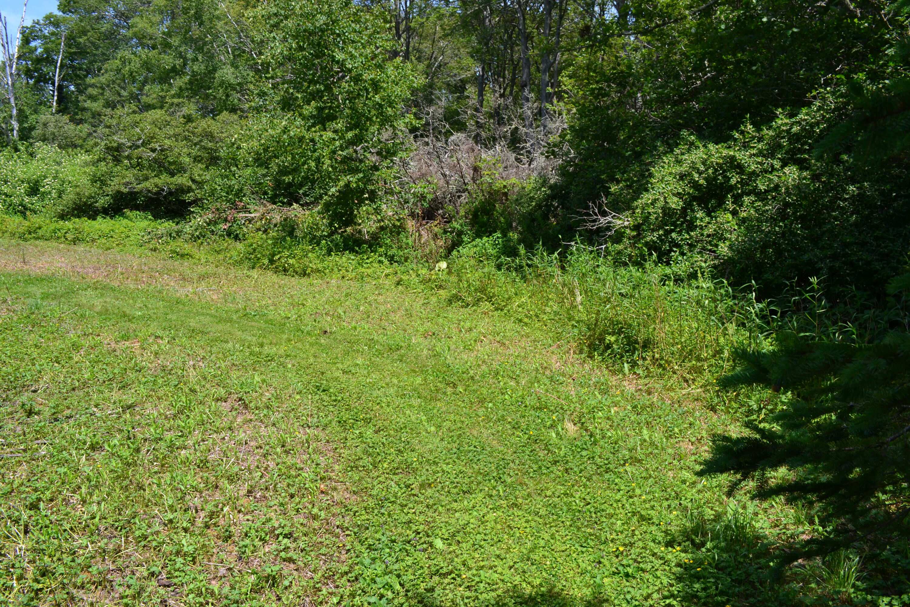 63 Bradley Shore Road Pemaquid, ME 04558 - Photo 13 of 22 DSC_0104