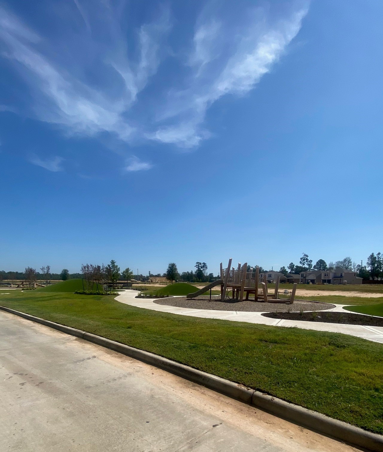 15187 Wild Gully Way Conroe, TX 77302 - Photo 11 of 12 a view of a lake with houses in the back