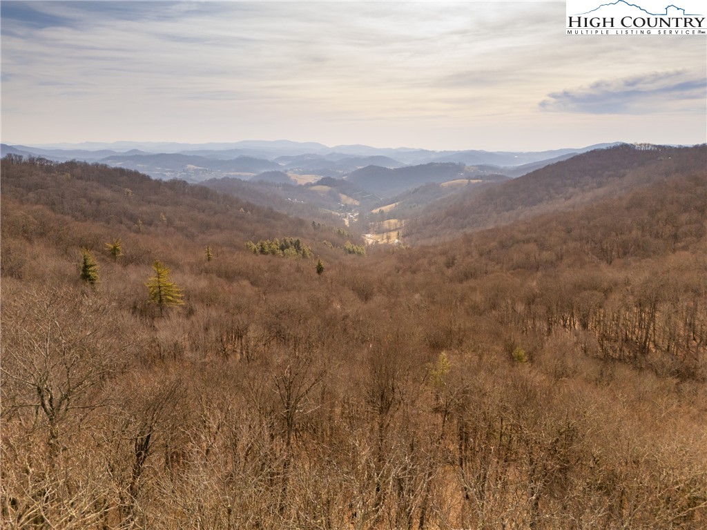1395 Grady Winkler Road Boone, NC 28607 - Photo 14 of 50 Gallery Image 14