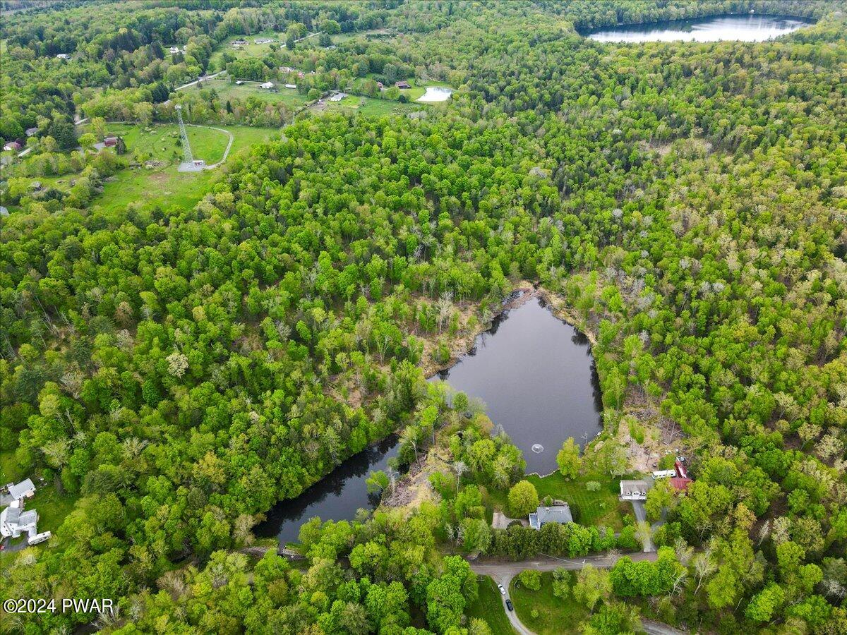 397 Plank Road Beach Lake, PA 18405 - Photo 96 of 103