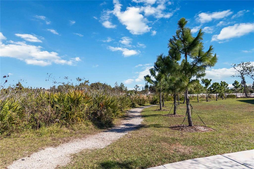 4571 Range Land Way St. Cloud, FL 34772 - Photo 41 of 43 a view of a tree in a yard
