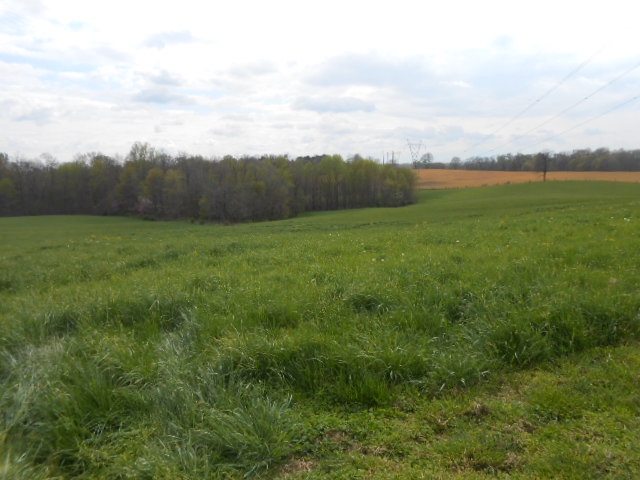 6524 Westgate Road Newberry, IN 47449 - Photo 7 of 20