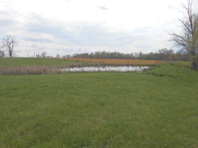 6524 Westgate Road Newberry, IN 47449 - Photo 8 of 20