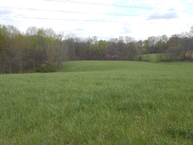 6524 Westgate Road Newberry, IN 47449 - Photo 9 of 20