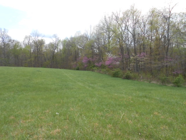 6524 Westgate Road Newberry, IN 47449 - Photo 10 of 20