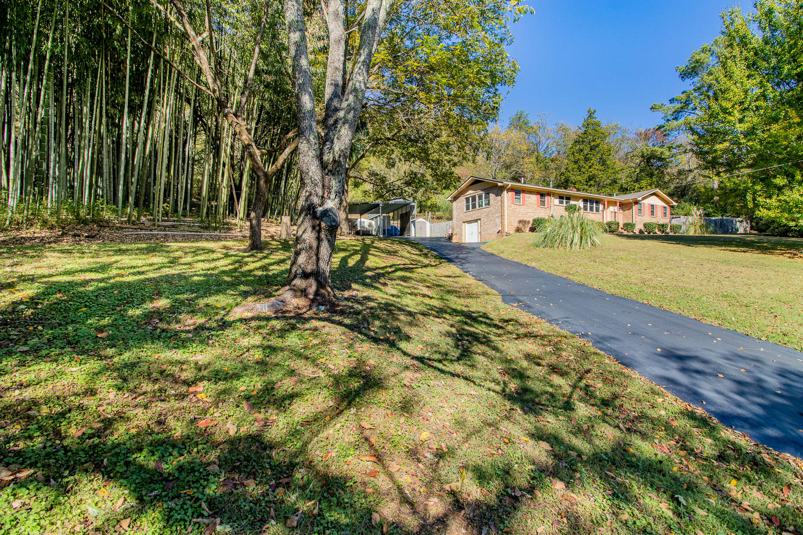 619 Lullwater Road Chattanooga, TN 37405 - Photo 11 of 47 619-Lullwater-Low-Res-Photos-3