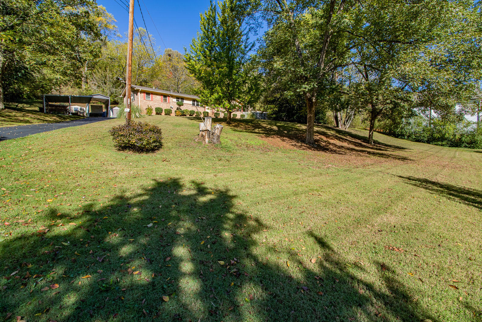 619 Lullwater Road Chattanooga, TN 37405 - Photo 10 of 47 619-Lullwater-Low-Res-Photos-2