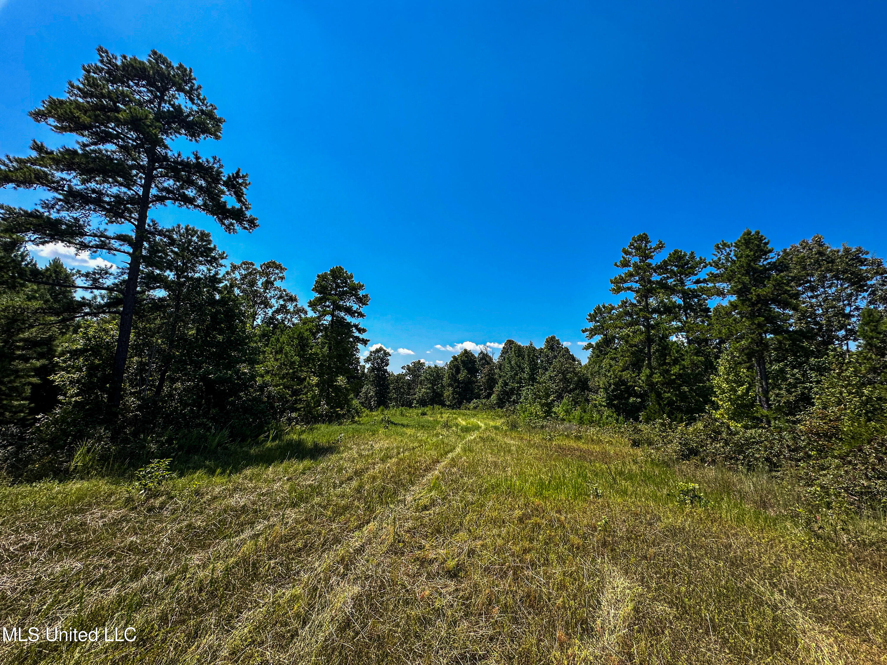 2295 Chapman Road Falkner, MS 38629 - Photo 22 of 48 IMG_5689