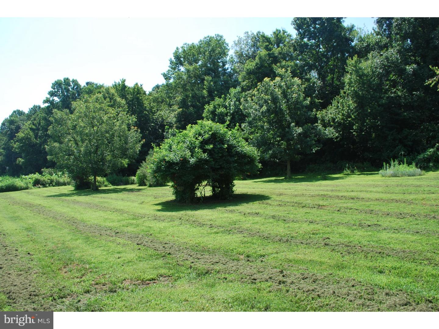 146 Pheasant Run Road Lincoln University, PA 19352 - Photo 18 of 19 Back Yard