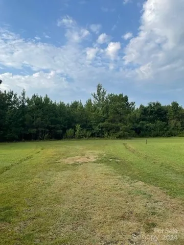 $127,000 | 0 Healing Spgs Court, Timmonsville, SC 29161