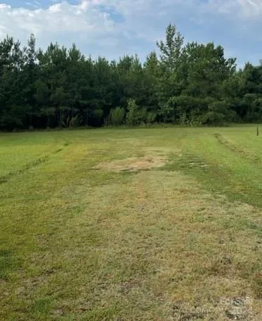 $127,000 | 0 Healing Spgs Court, Timmonsville, SC 29161