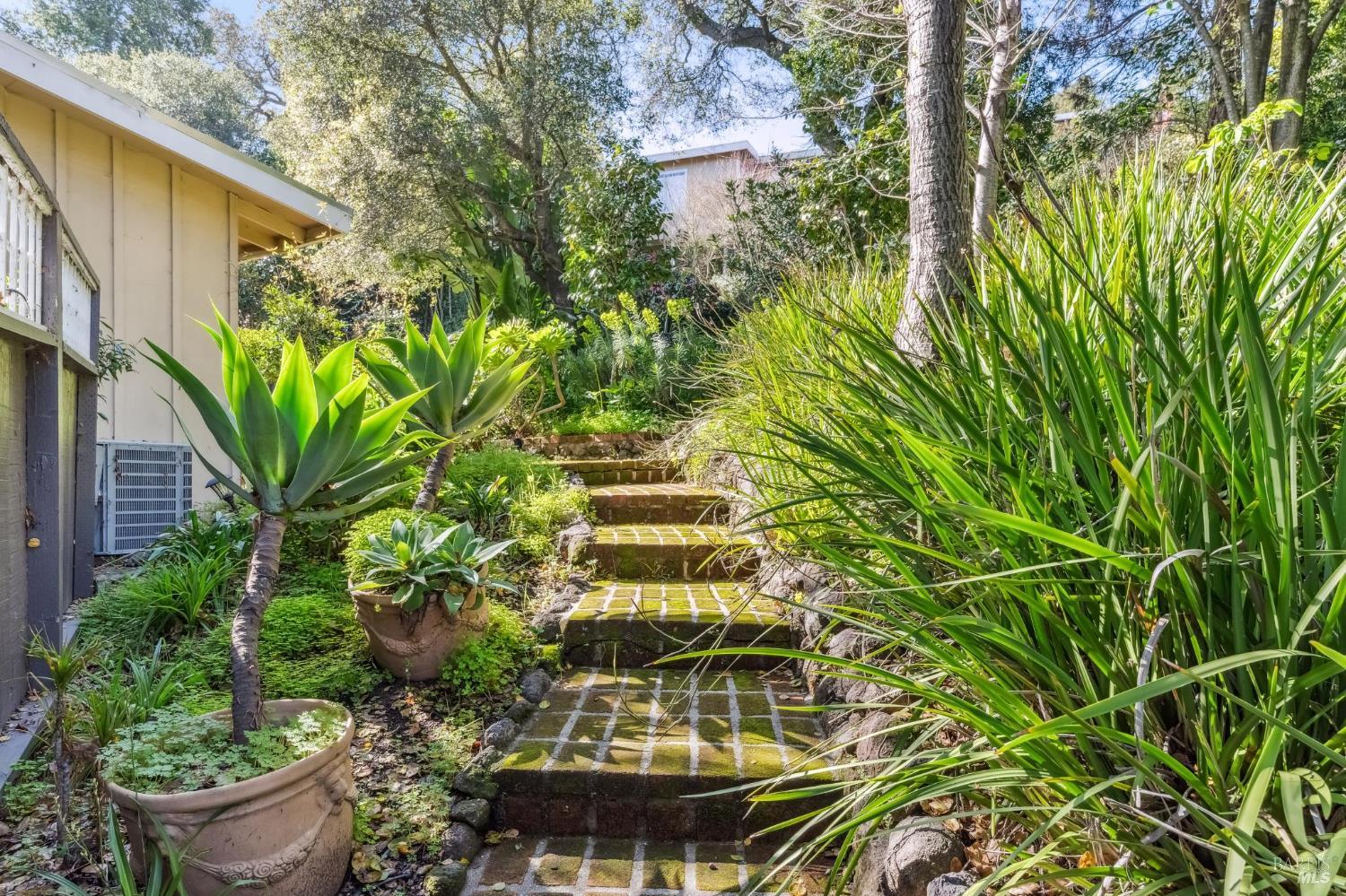 77 Coleman Drive San Rafael, CA 94901 - Photo 65 of 73