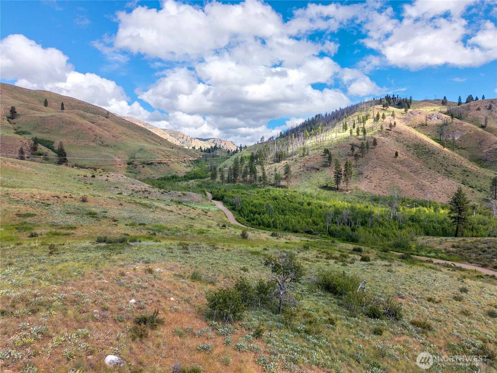 -tbd Bear Creek Road Winthrop, WA 98862 - Photo 16 of 30