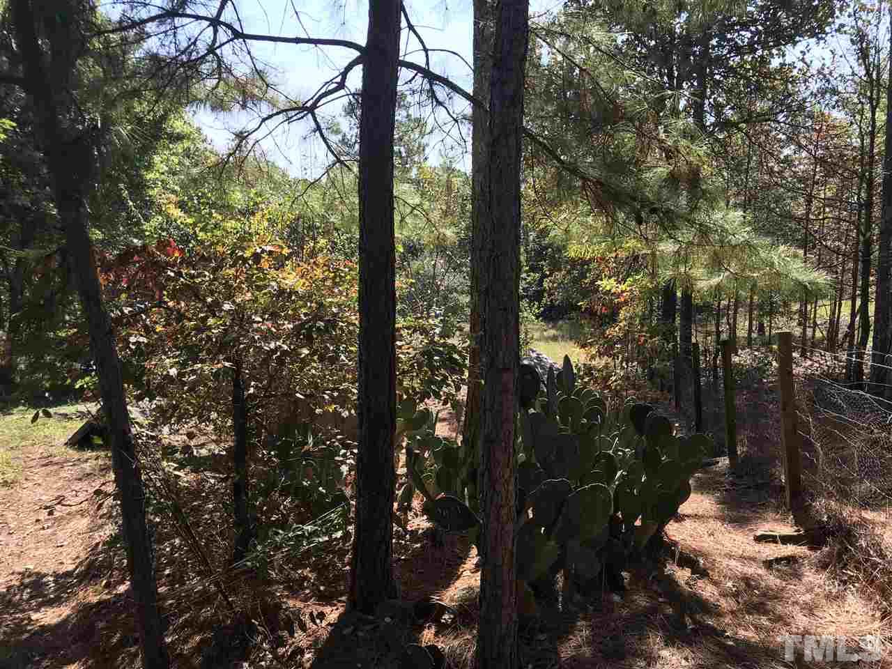 375 Micro Tower Road Lillington, NC 27546 - Photo 29 of 30