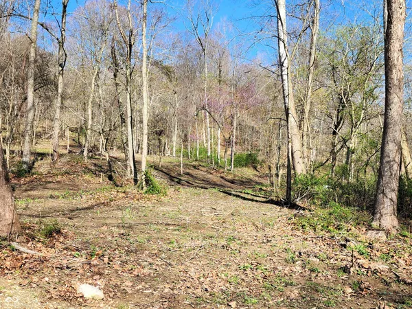 $149,000 | 0 Goat Hollow Estates, Martinsville, IN 46151