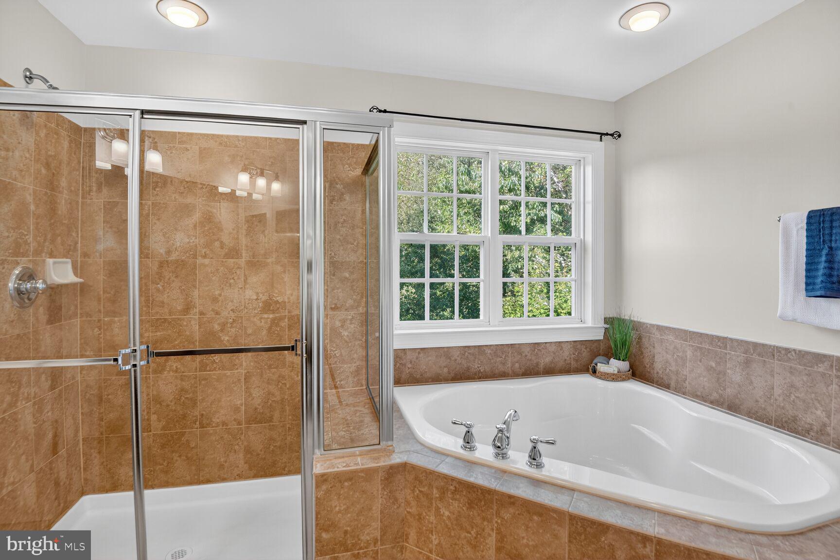 7809 Stanley Lane Severn, MD 21144 - Photo 20 of 30 Shower and soaking tub