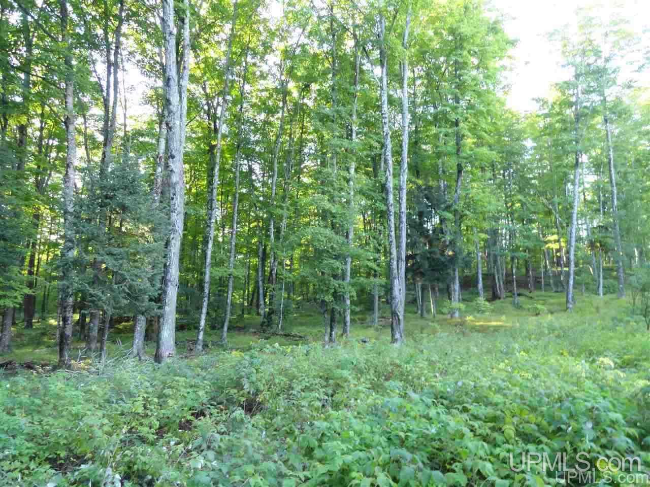 5-acres Co Rd Sa Cornell, MI 49818 - Photo 20 of 27