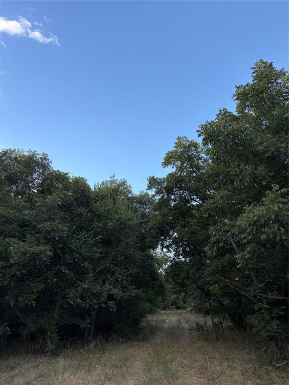 271 Wyatt Road Jacksboro, TX 76458 - Photo 19 of 40 Additional content