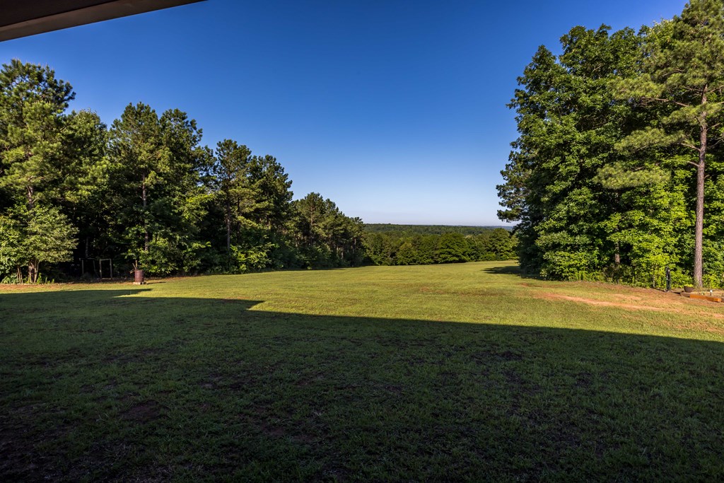 3613 Valley Road Lumpkin, GA 31815 - Photo 5 of 63 Gallery Image 5