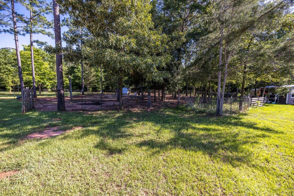 3613 Valley Road Lumpkin, GA 31815 - Photo 54 of 63 Gallery Image 54