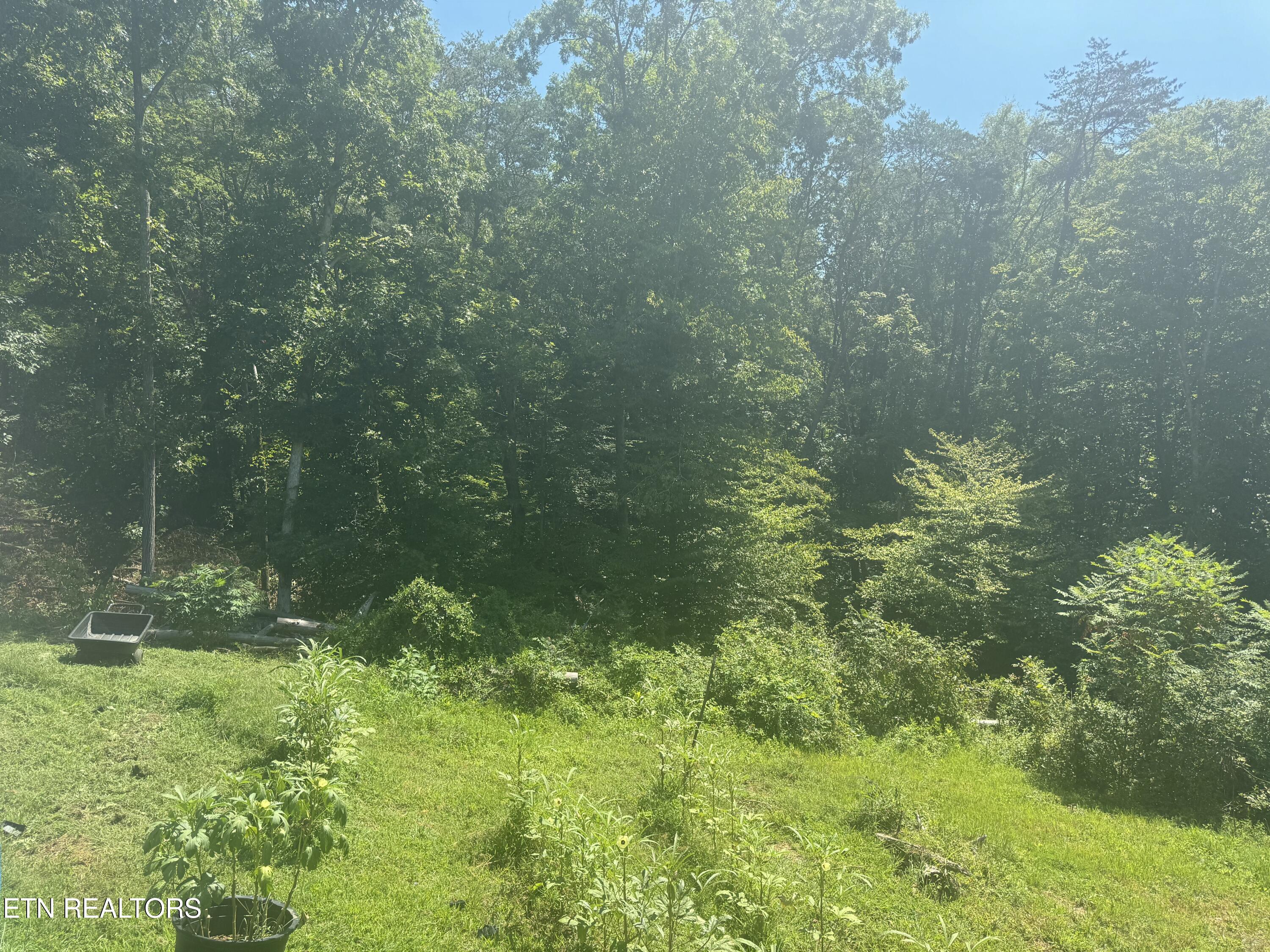 3112 Gibson Road Strawberry Plains, TN 37871 - Photo 3 of 18 IMG_2509