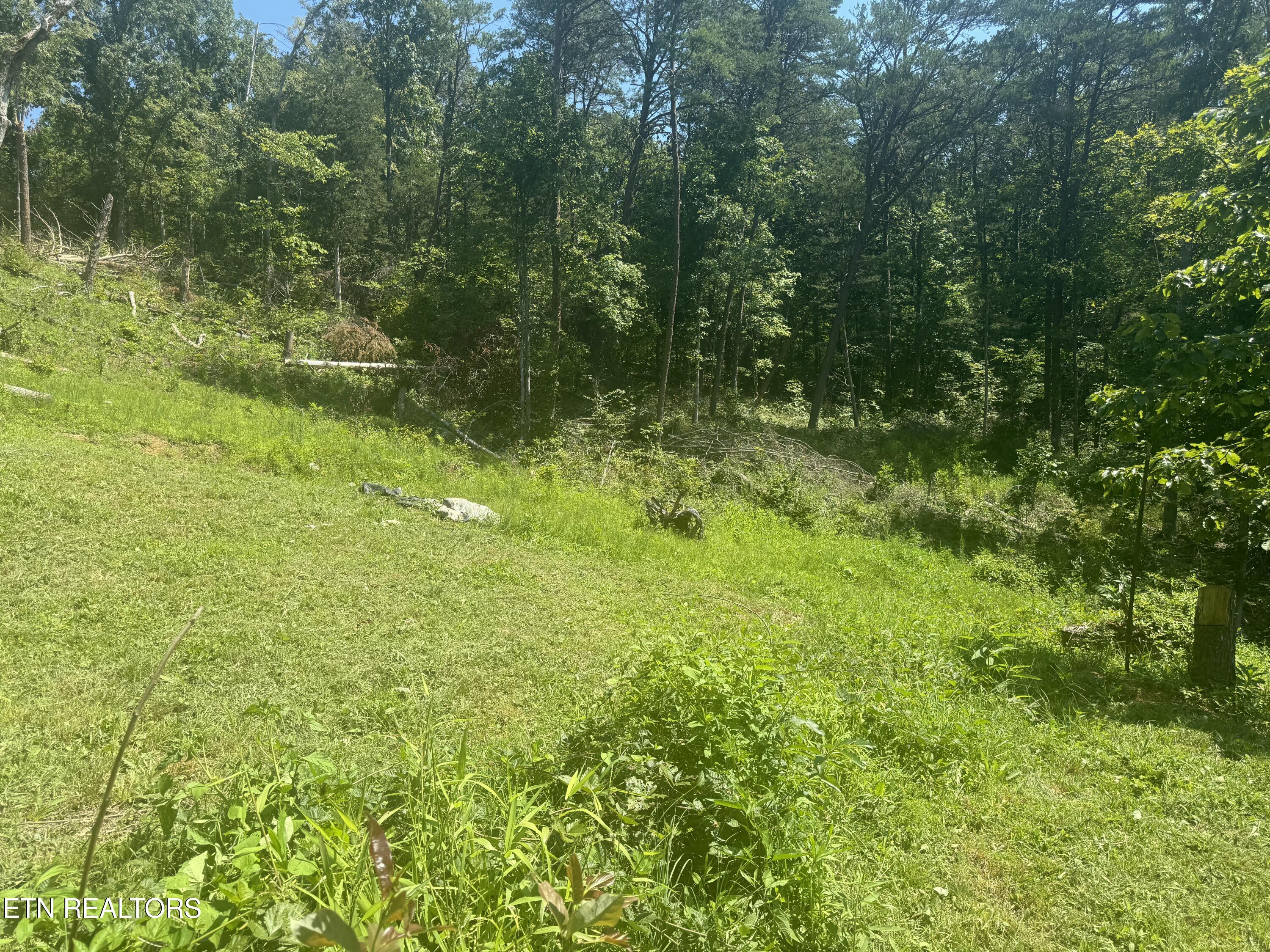 3112 Gibson Road Strawberry Plains, TN 37871 - Photo 6 of 18 IMG_2512