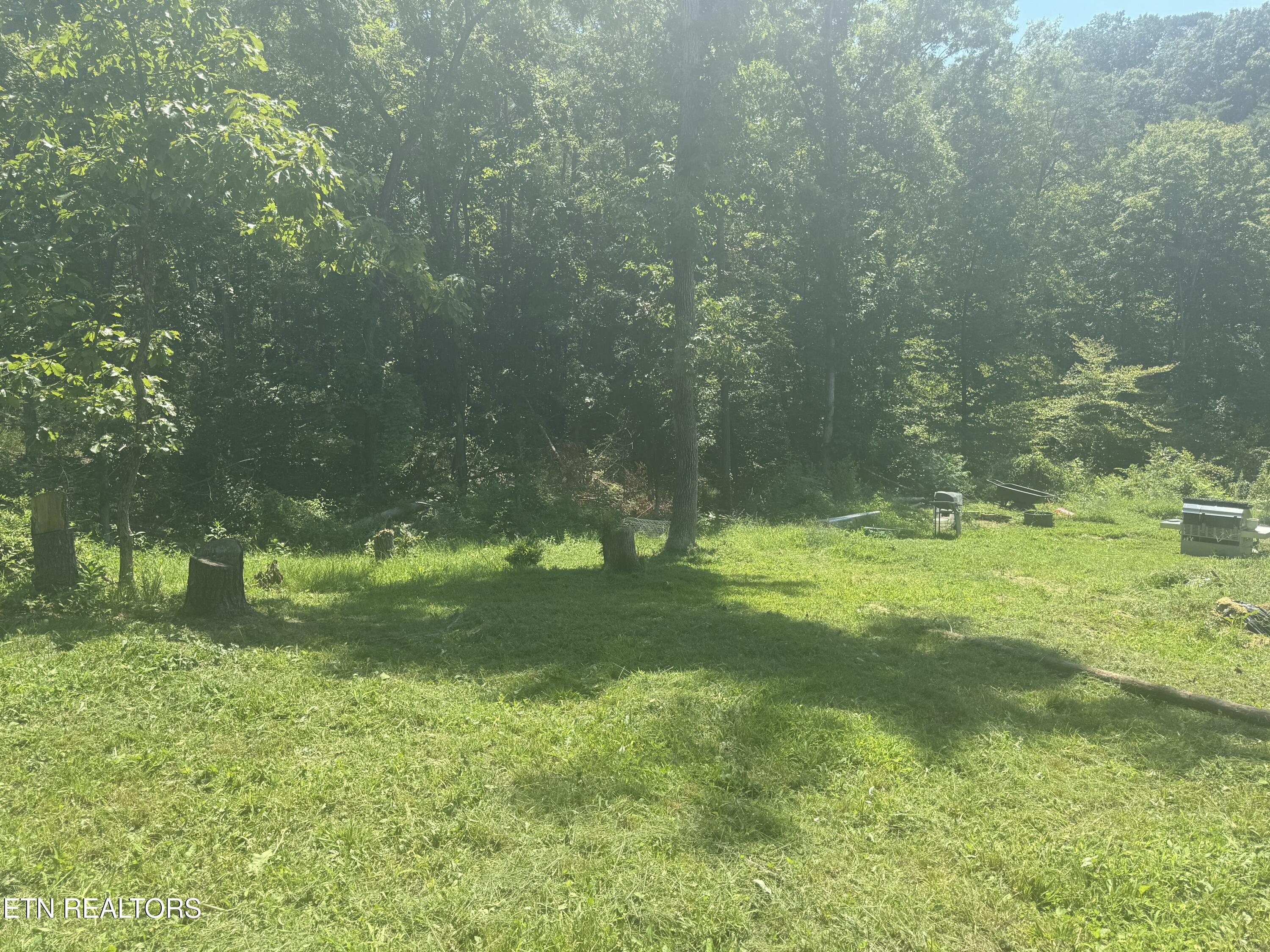 3112 Gibson Road Strawberry Plains, TN 37871 - Photo 7 of 18 IMG_2513