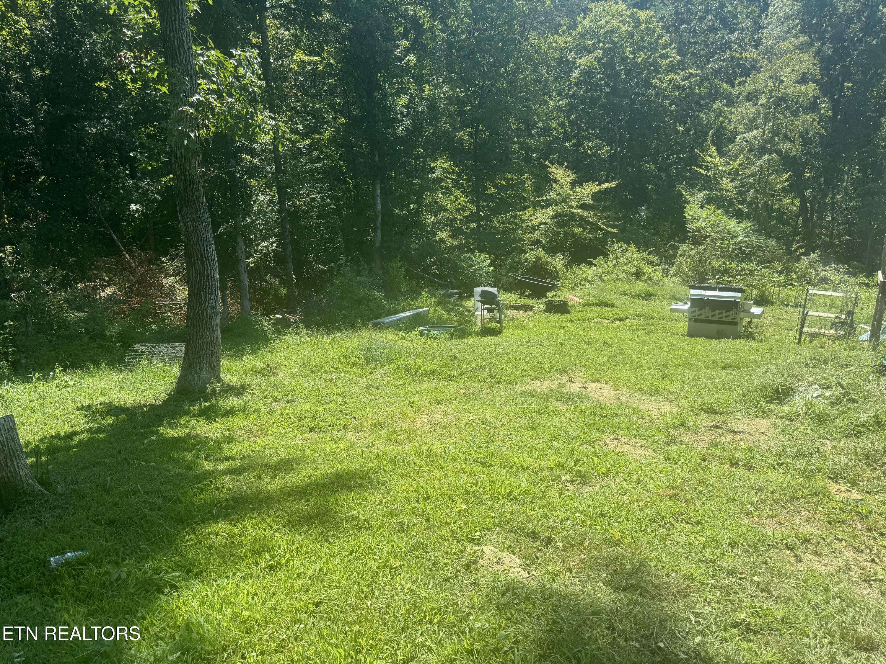 3112 Gibson Road Strawberry Plains, TN 37871 - Photo 9 of 18 IMG_2515
