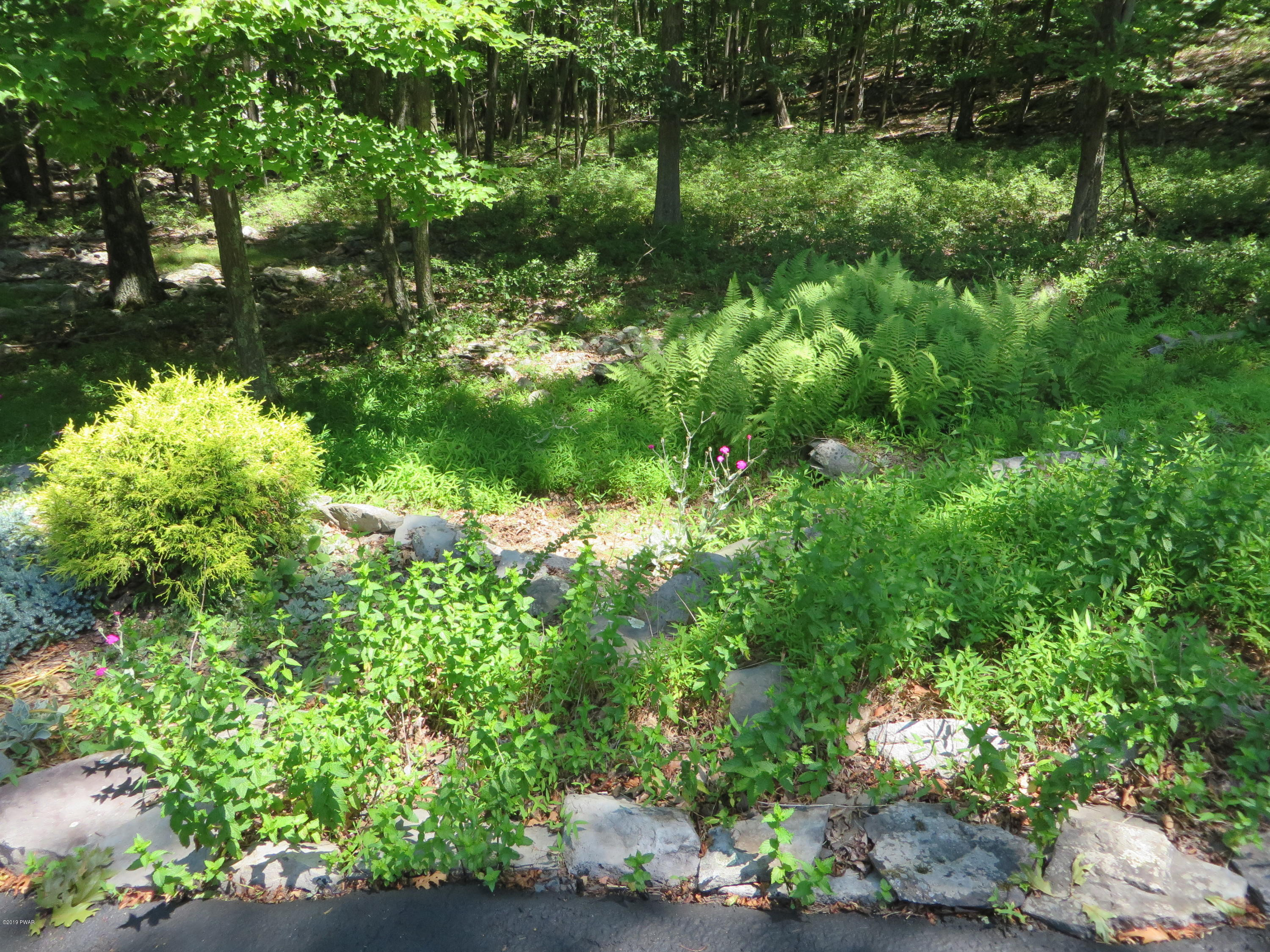 137 Maple Ridge Road Milford, PA 18337 - Photo 59 of 82 cuccolo67