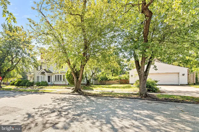 a view of road with large trees