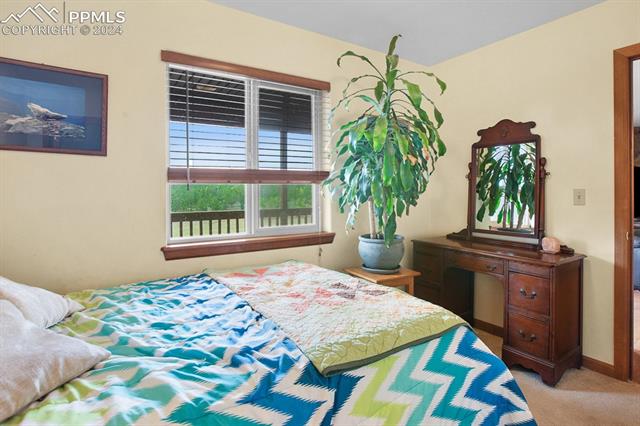 1321 Stoll Ranch Road Lake George, CO 80827 - Photo 24 of 50 Gallery Image 24
