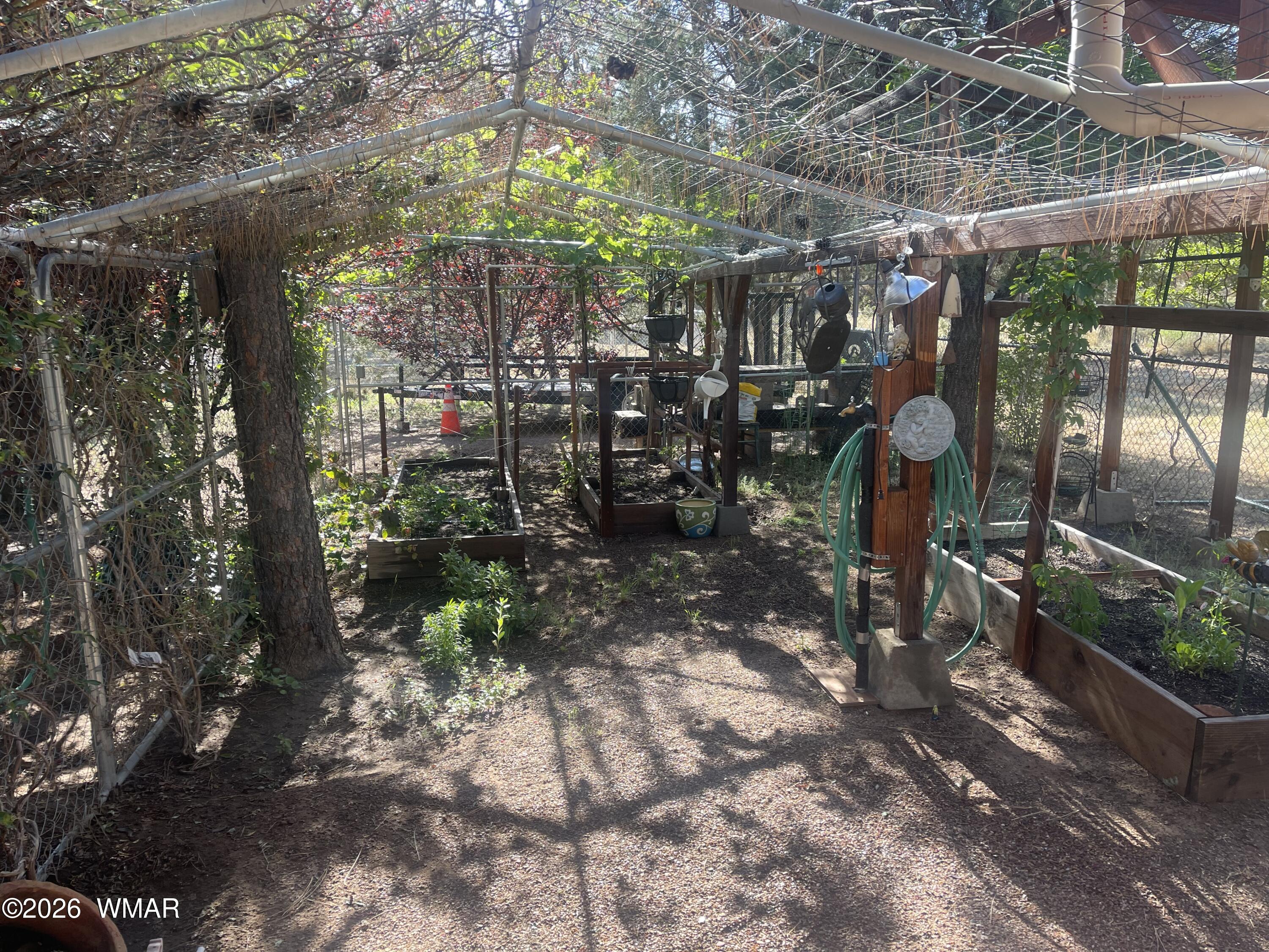 2871 Moose Trail Overgaard, AZ 85933 - Photo 22 of 25 a view of path along with trees