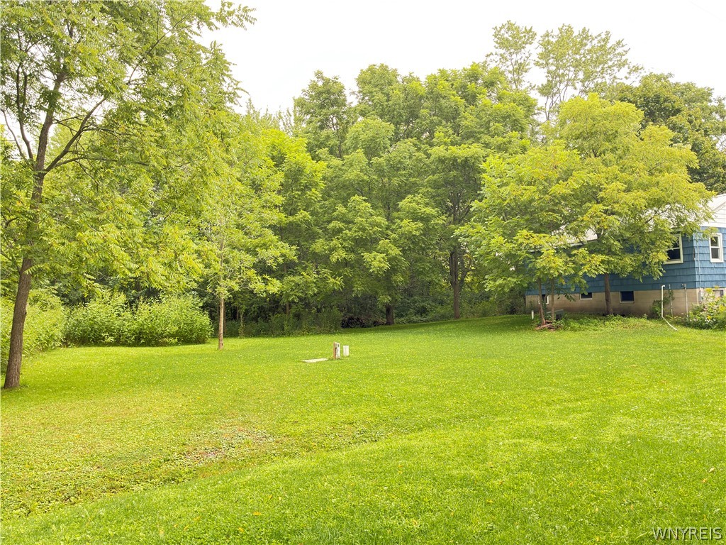 6530 Bear Ridge Road Pendleton, NY 14094 - Photo 24 of 24 Gallery Image 24