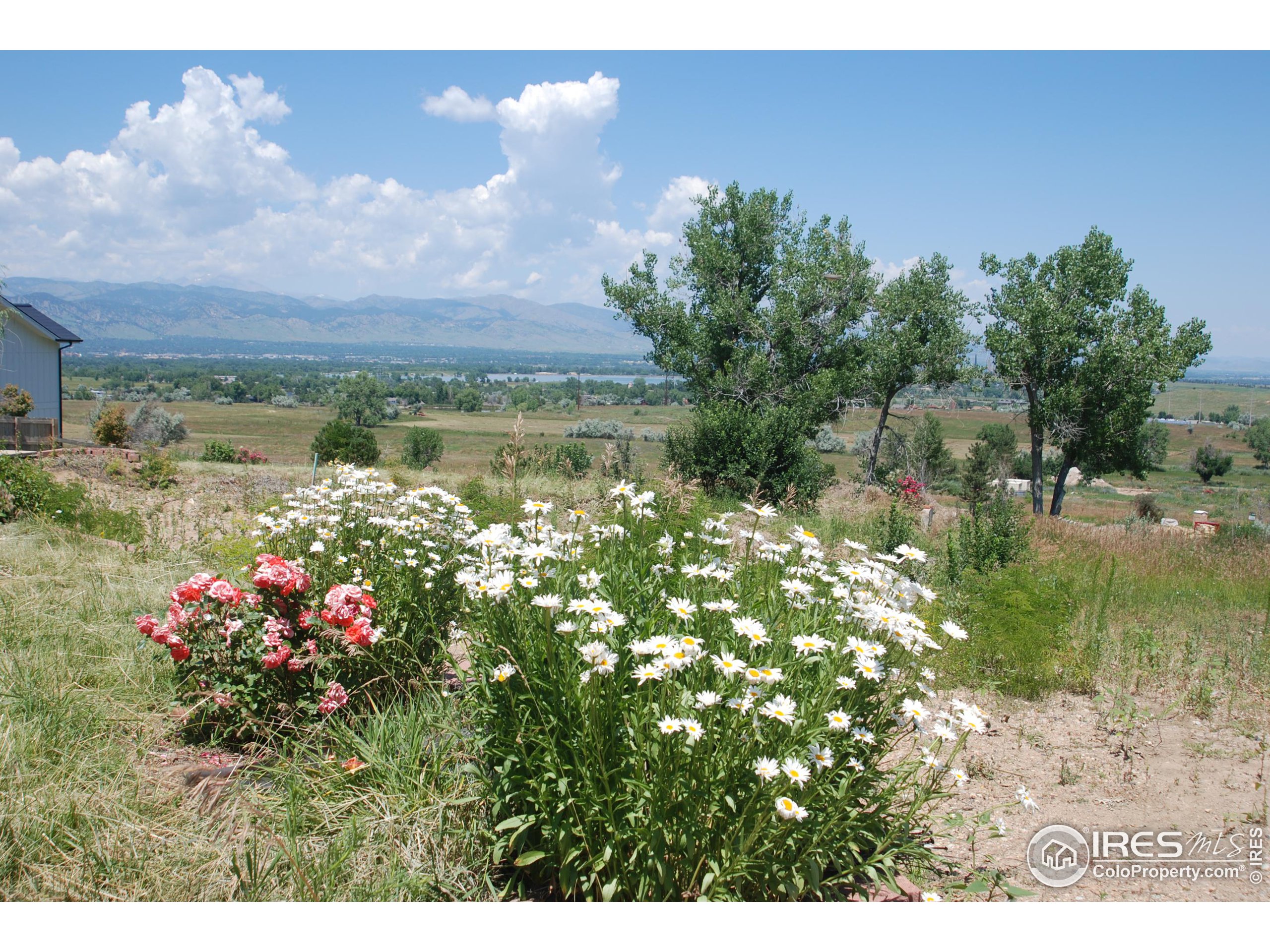 7233 Spring Court Boulder, CO 80303 - Photo 17 of 20