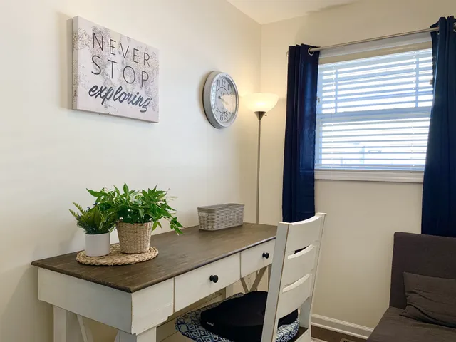 a kitchen with a potted plant on the counter and a window