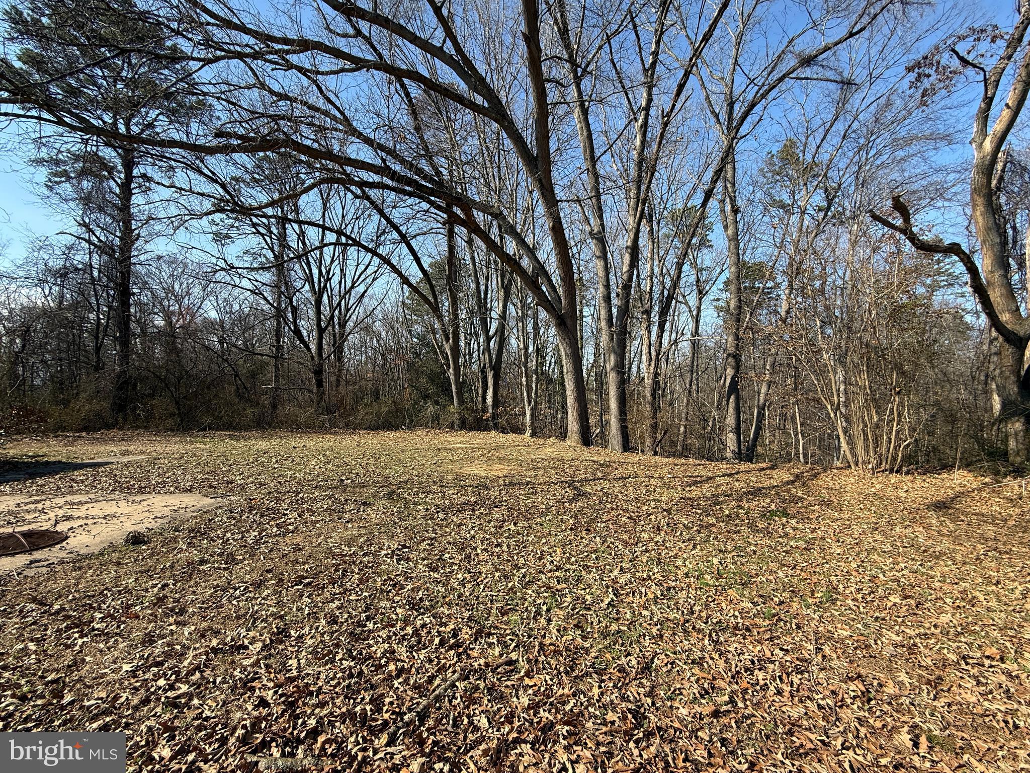 265 Butler Road, Unit 3 Fredericksburg, VA 22405 - Photo 20 of 22